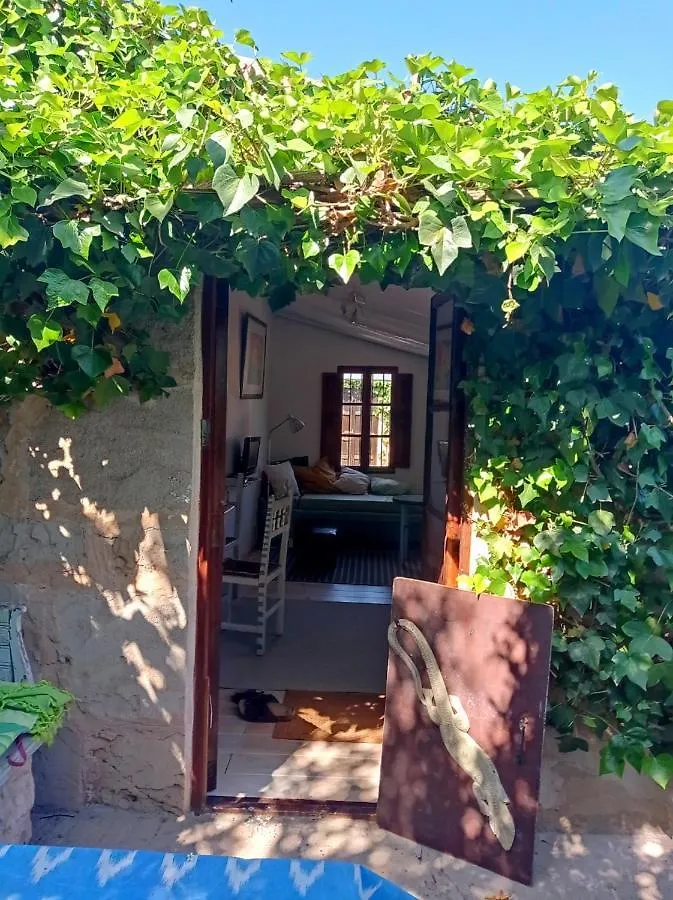 Holiday home Arthouse Campos Mit Haus Galeria 110Qm Und Appartementhaus Mit Patio 30Qm Spain