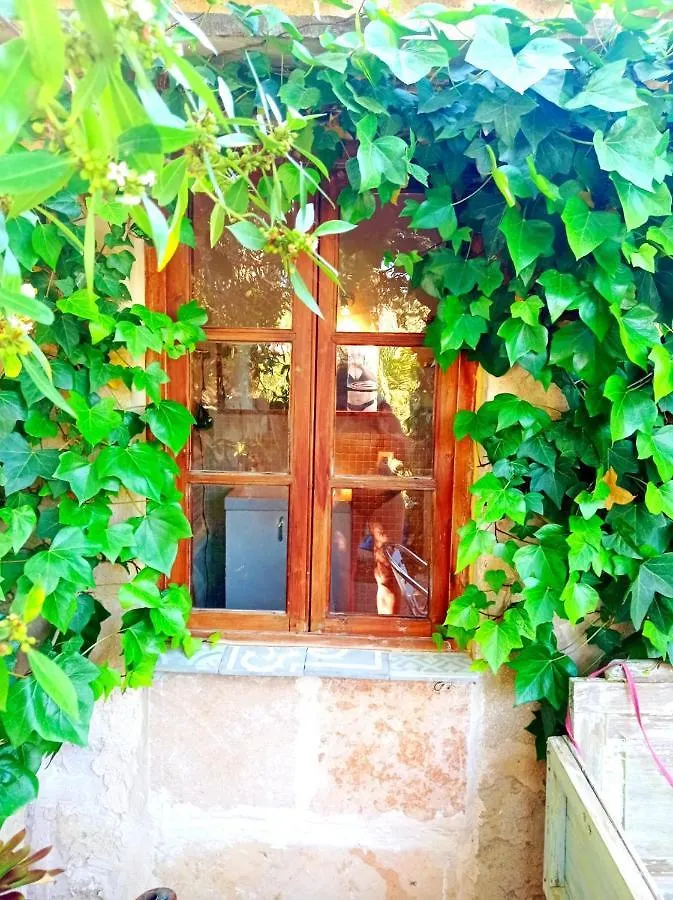 Arthouse Campos Mit Haus Galeria 110Qm Und Appartementhaus Mit Patio 30Qm 0*, Campos (Mallorca) Spagna