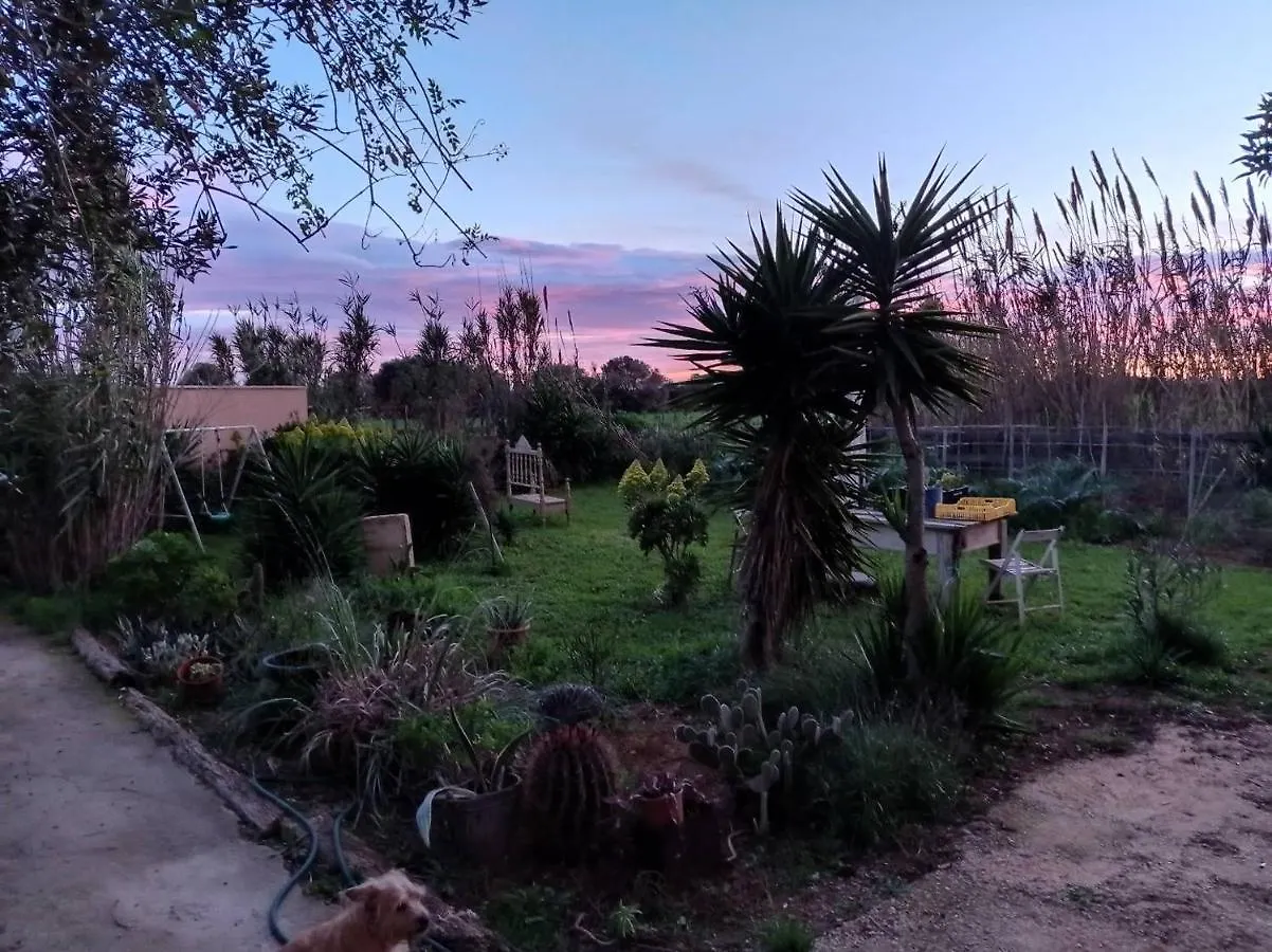 Casa vacanze Arthouse Campos Mit Haus Galeria 110Qm Und Appartementhaus Mit Patio 30Qm Spagna