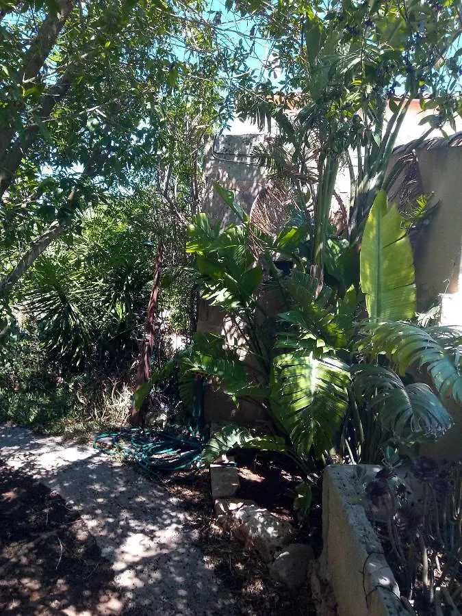 Дом отдыха Arthouse Campos Mit Haus Galeria 110Qm Und Appartementhaus Mit Patio 30Qm